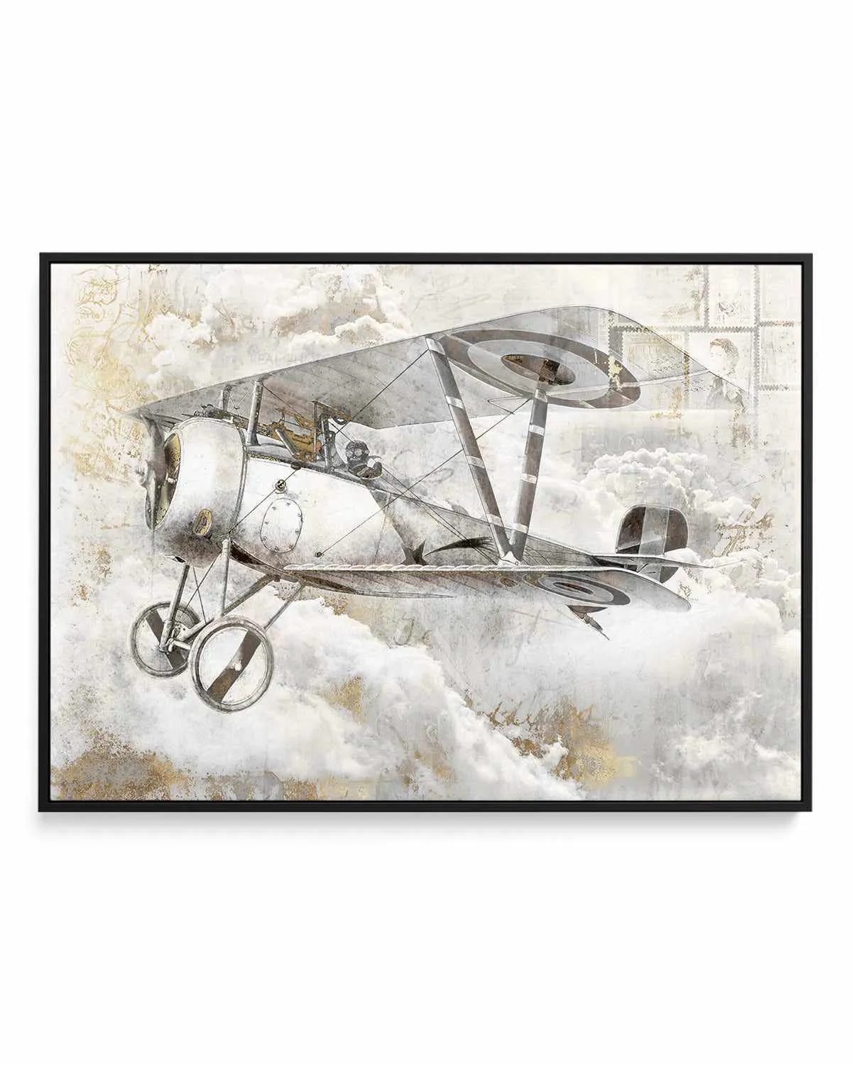 Airplane II | Framed Canvas Art Print