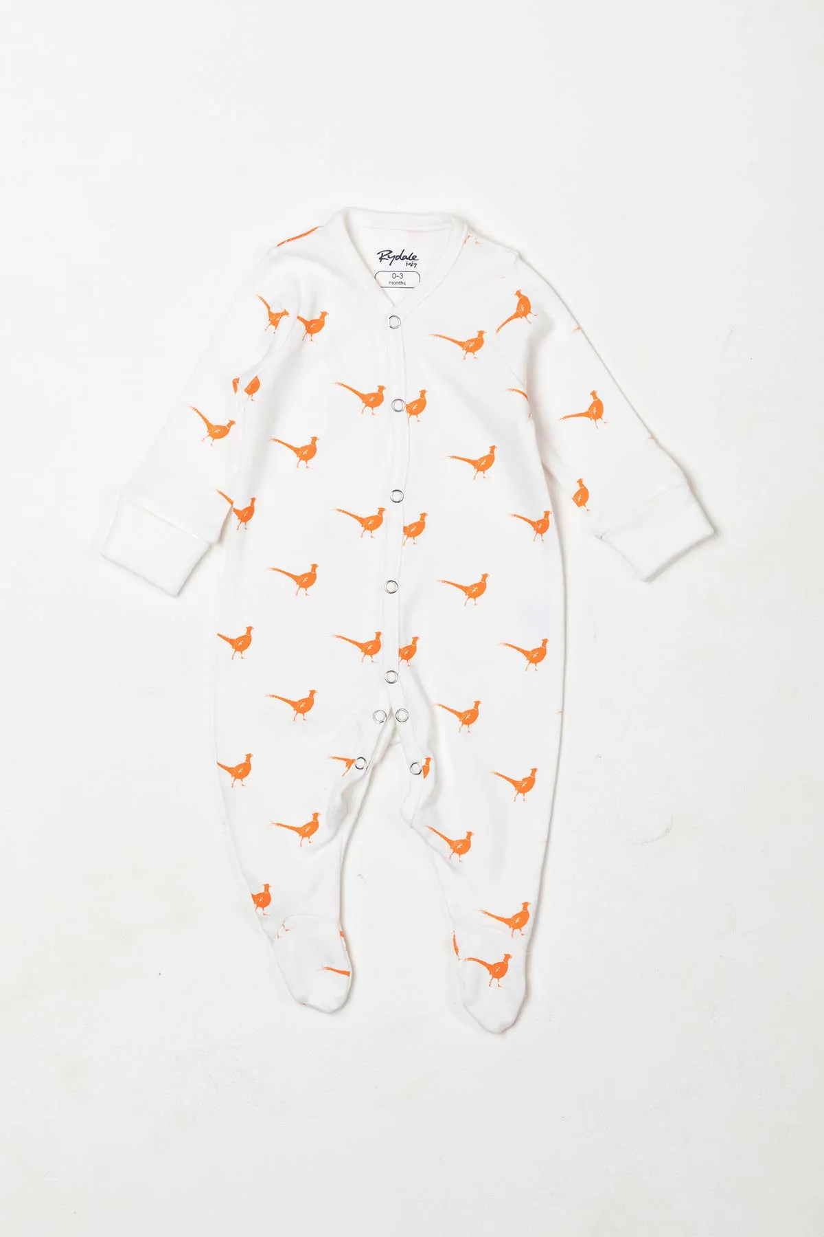 Baby Sleepsuits (2 Pack)