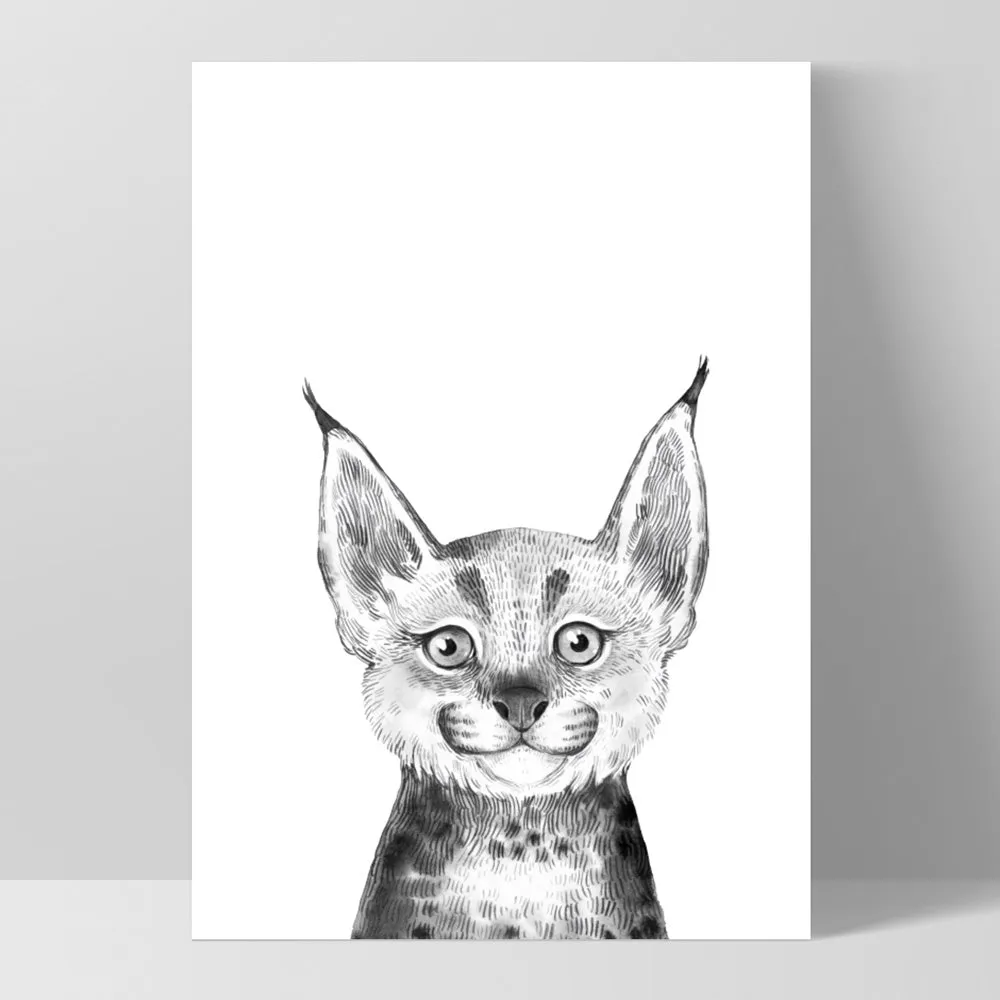 Bobcat Baby Peek a Boo Animal - Art Print