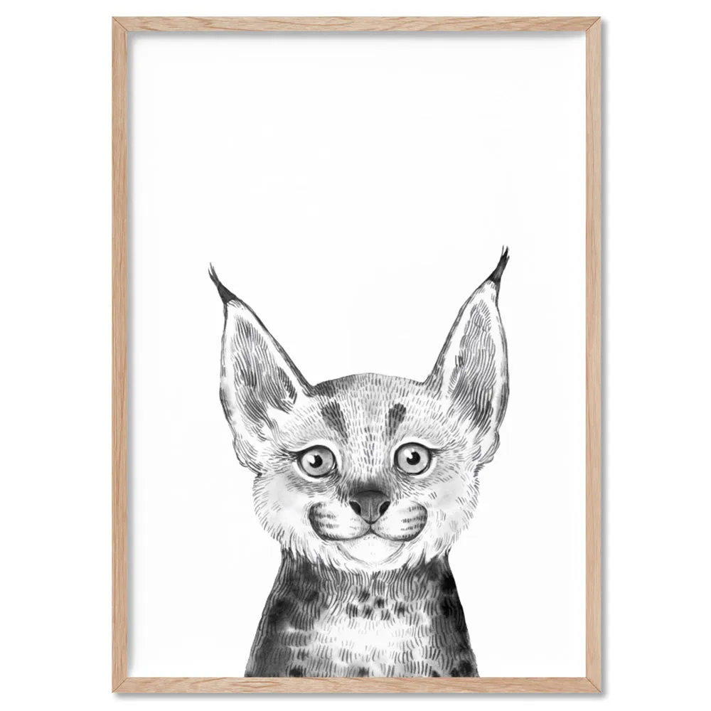 Bobcat Baby Peek a Boo Animal - Art Print