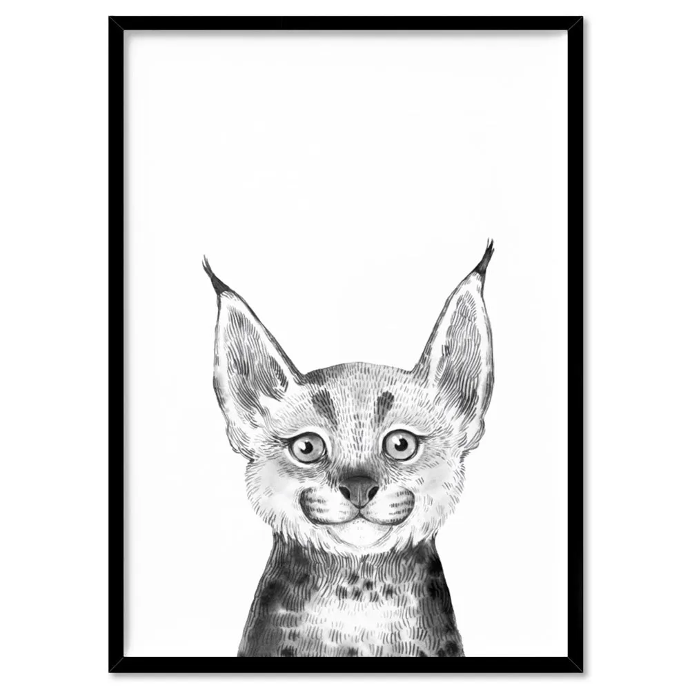 Bobcat Baby Peek a Boo Animal - Art Print