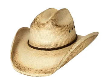 Bullhide Pony Express Childrens Straw Cowboy Hat Style 2544