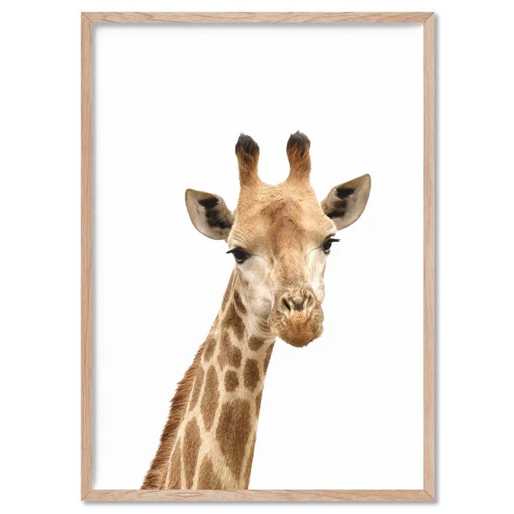 Cheeky Giraffe Stare - Art Print