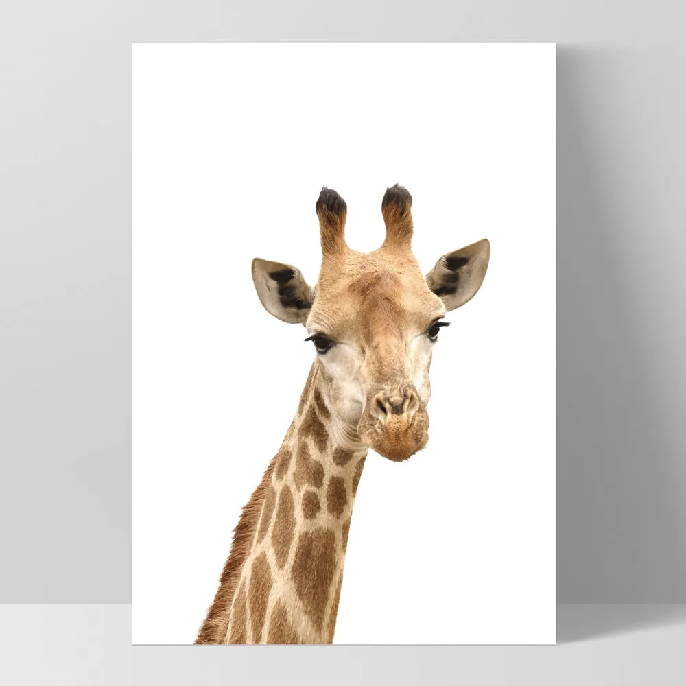 Cheeky Giraffe Stare - Art Print