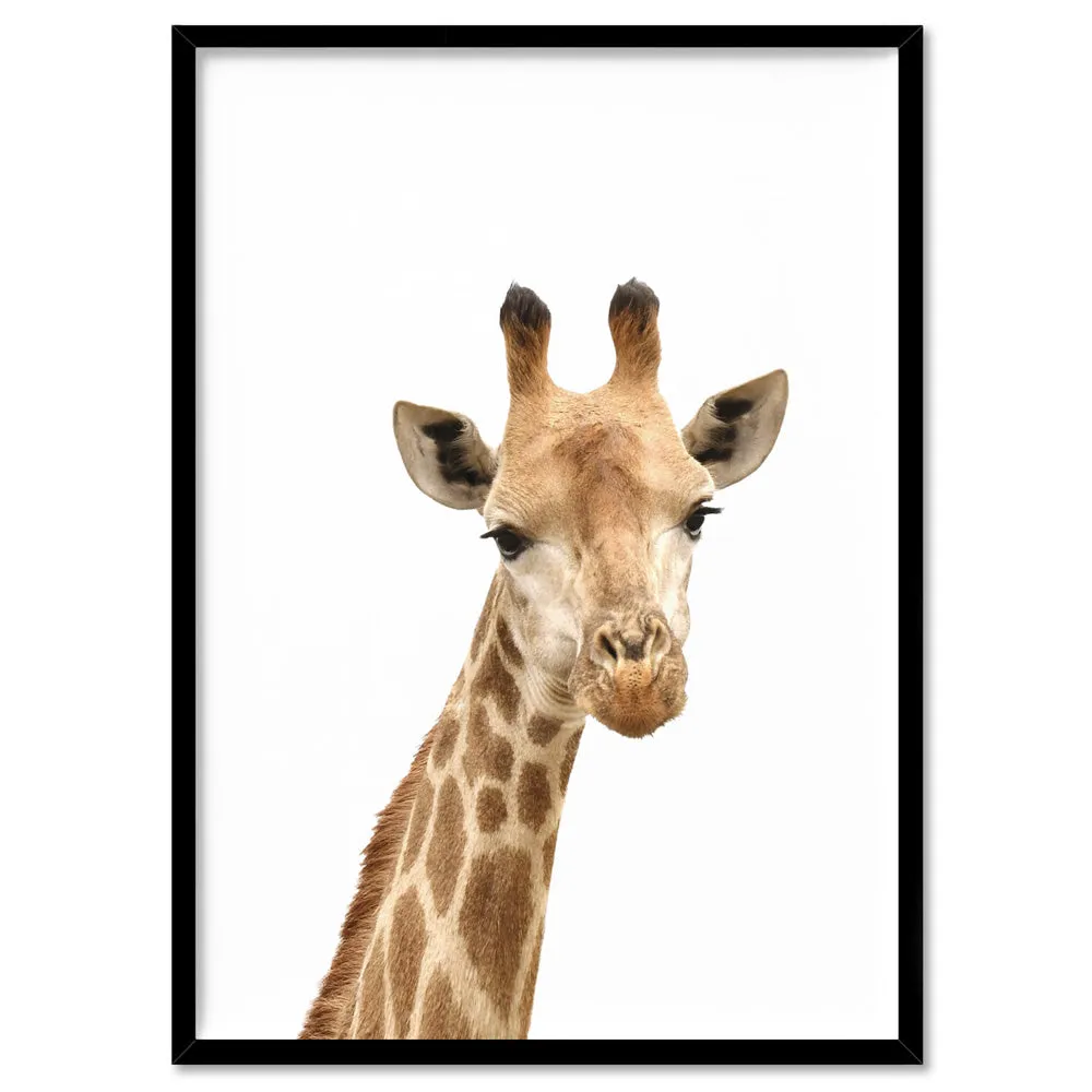 Cheeky Giraffe Stare - Art Print