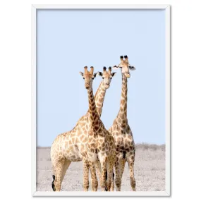 Giraffe Trio on Safari - Art Print