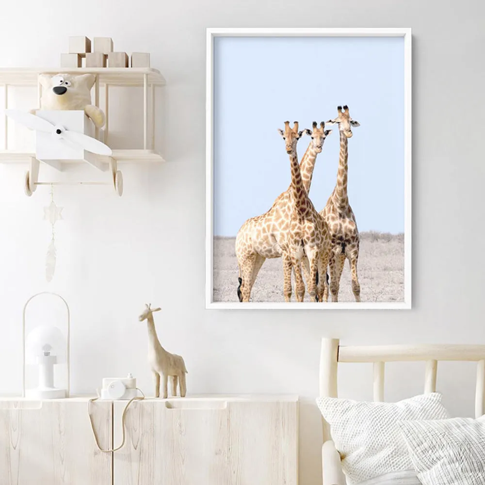 Giraffe Trio on Safari - Art Print