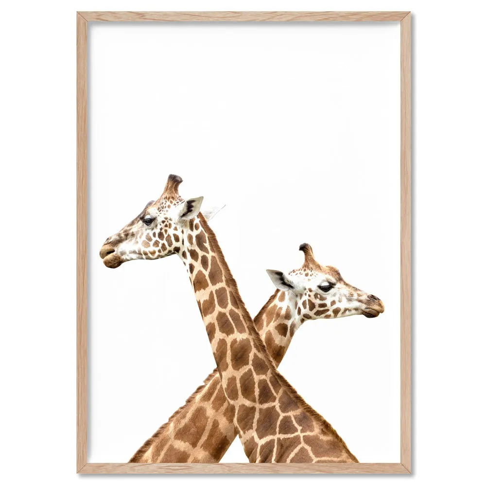 Grazing Giraffe Duo - Art Print