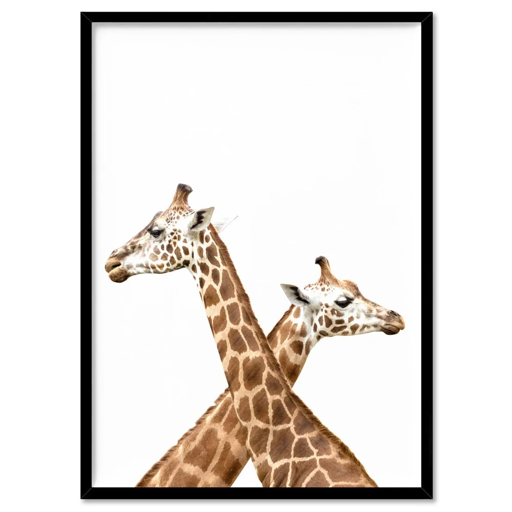 Grazing Giraffe Duo - Art Print