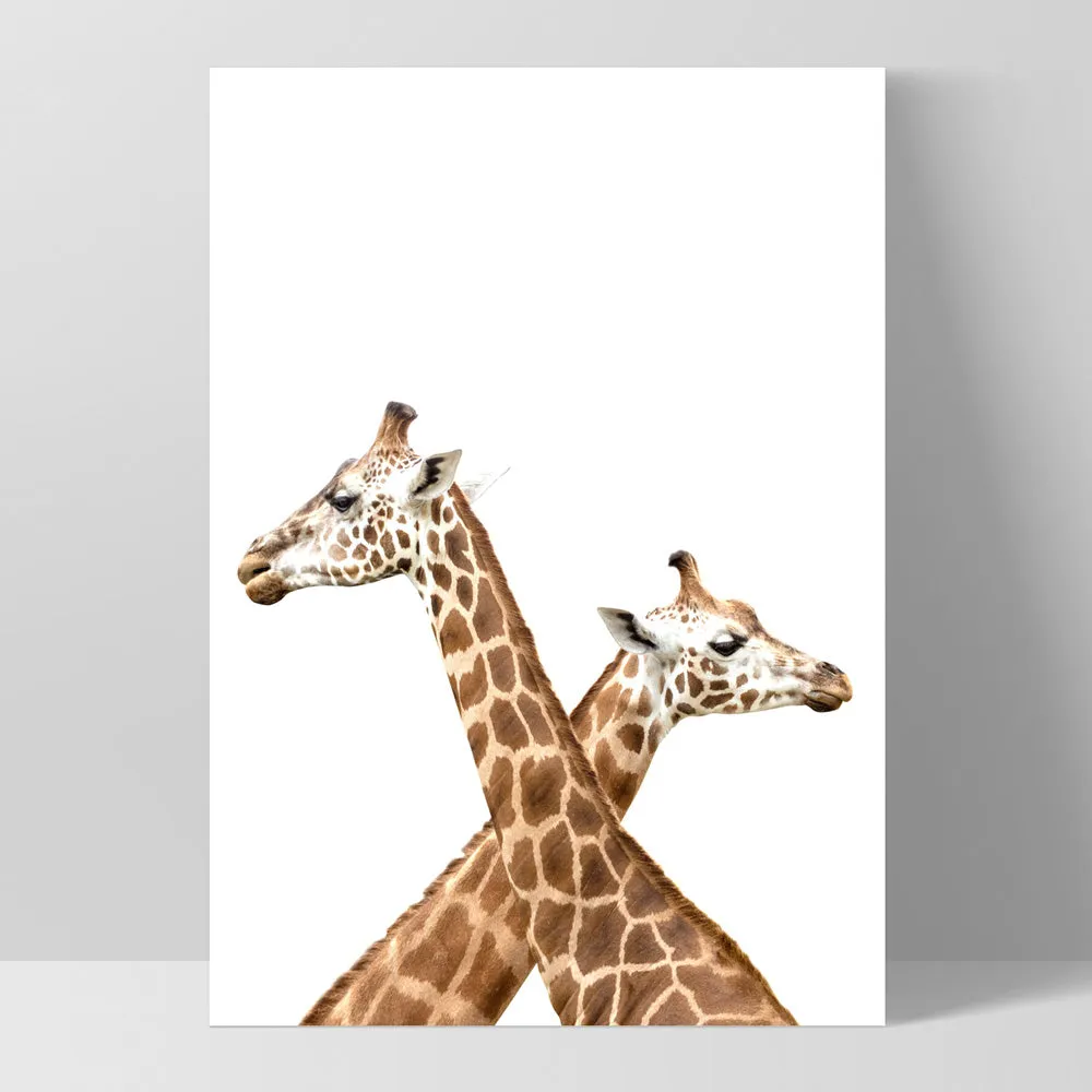 Grazing Giraffe Duo - Art Print