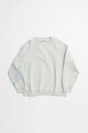 Raglan Sleeve Sweatshirt